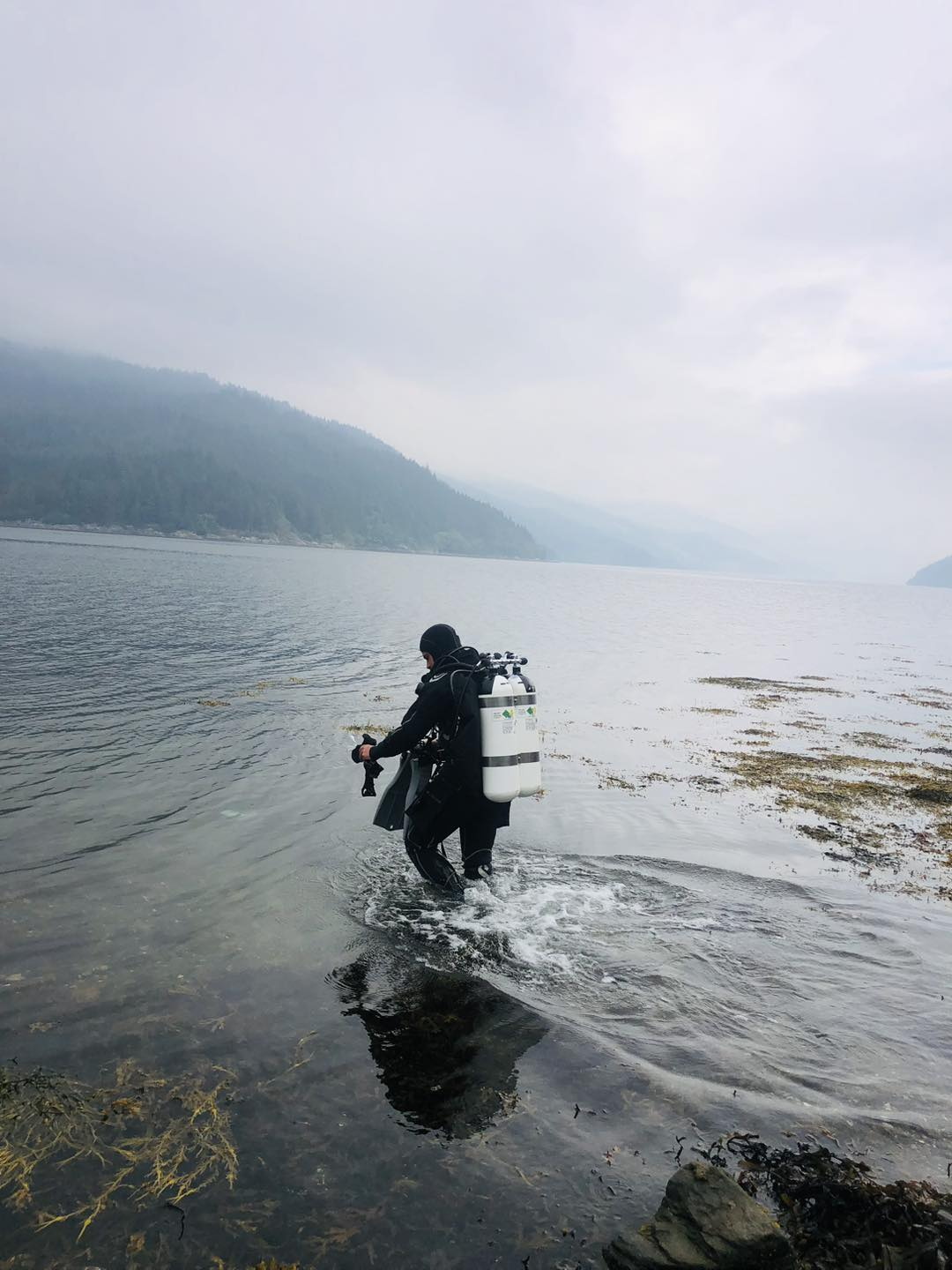 Stefanos diving image